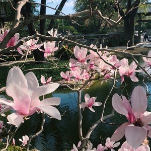 Meet your Posher, Ayda